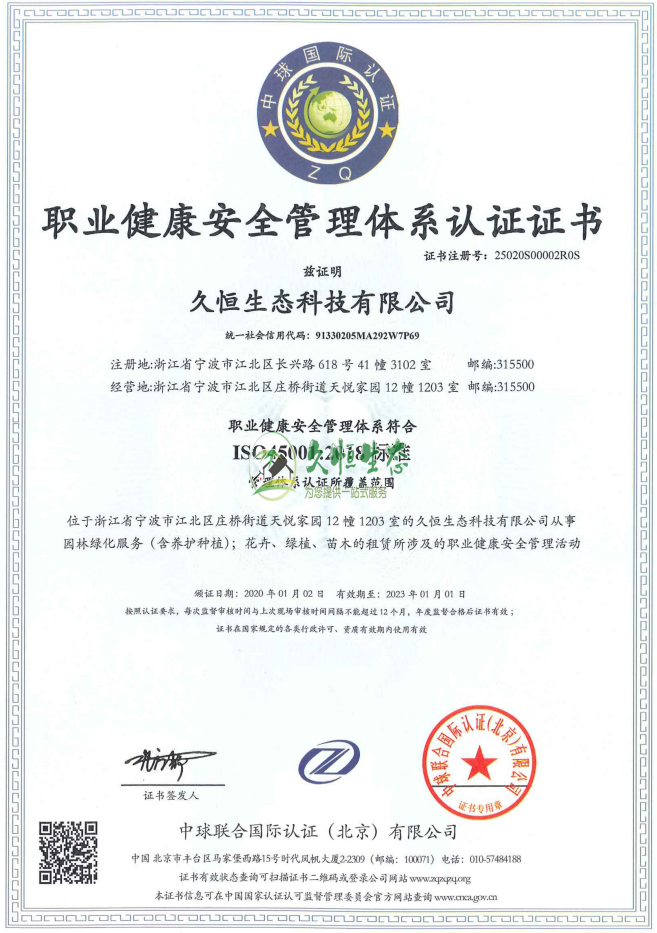 南京秦淮职业健康安全管理体系ISO45001证书